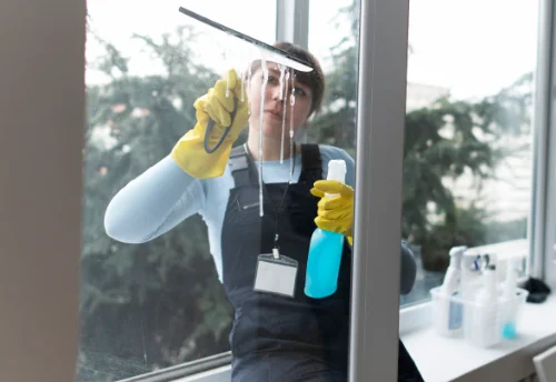 Nettoyage de vitres intérieures et extérieures à Saint-Maurice-de-Gourdans